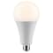 Satco Ultra Bright Utility Lamp, 36W, PS30 LED, Dimmable, White, E26 Base, 4000K, 120V, Hi-Lumen S11481 - alternate 2